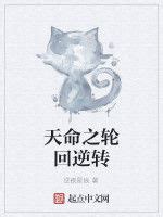 天命龍脈小說